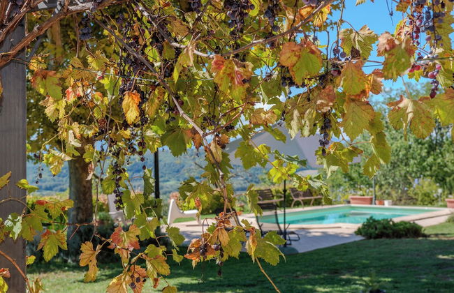 Villa Penta - Photo 46