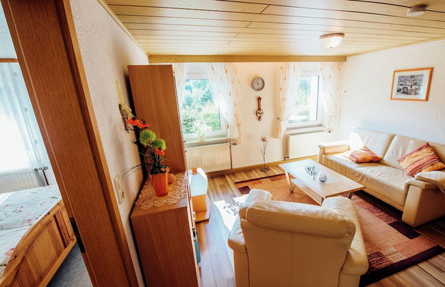 Modish Apartment in Plankenstein near Forest - Photo 9