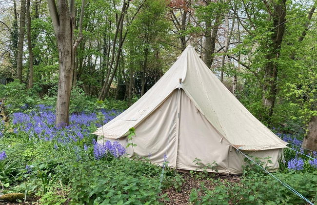 Delightful 4BD Home Full of Flair Edenbridge Kent - Foto 32