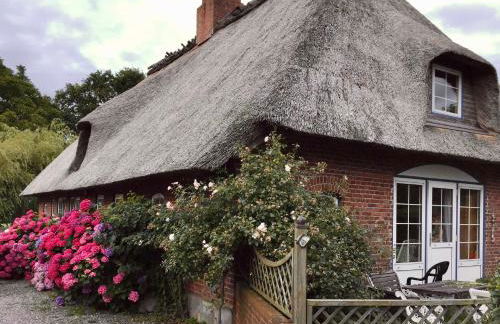 Reetdachkaten in Schuby, Ostsee - Foto 9