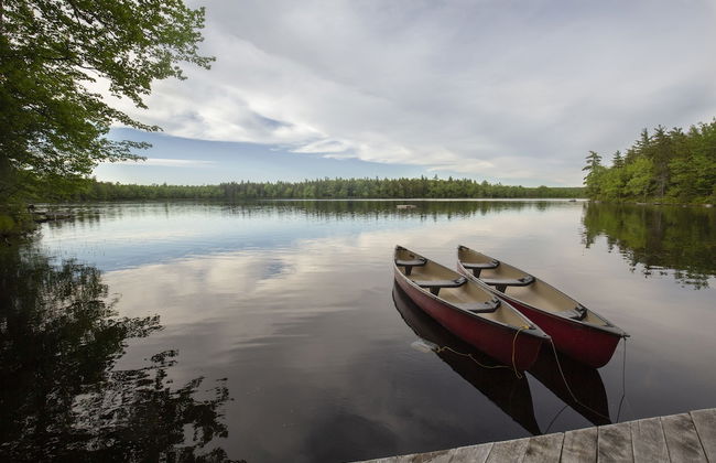 Mersey River Chalets a nature retreat - Foto 48