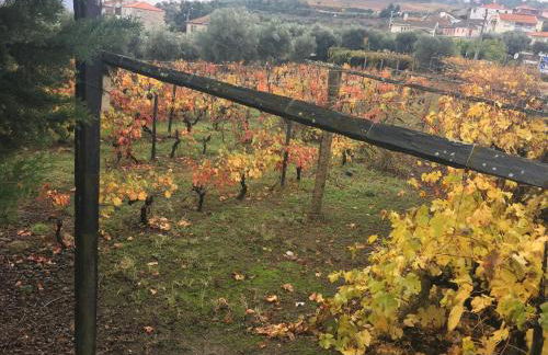 Casa da Farmácia - Foto 10