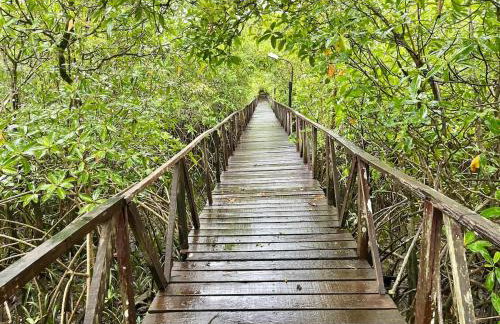 COP30 - Belém - Refúgio perfeito em Benfica-Pará - Photo 10