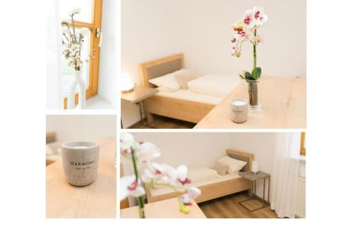 Ferienwohnungen Köhler - Foto 31