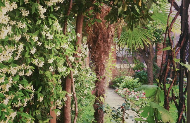 3749 Ponte Chiodo Guest House - Foto 35