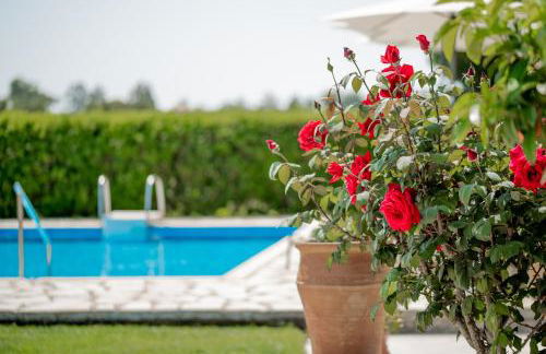 VILLA IN PIETRA Kalamaras - Foto 29