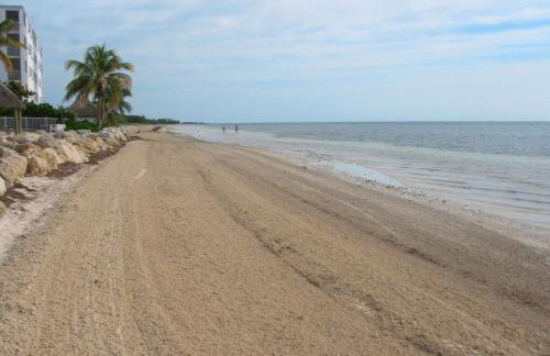 Beachfront Condo on Coco Plum Beach - Foto 30