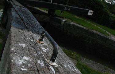 Rew Farm Country & Equestrian Accommodation - Sunrise Lodge - Foto 69