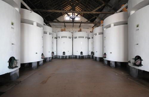 Quinta do Piloto - Foto 32