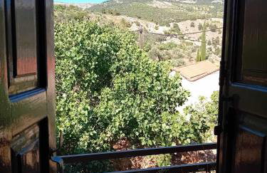 Παραδοσιακή κατοικία "ΧΡΥΣΑ" ΑΝΑΒΑΤΟΣ - Photo 17