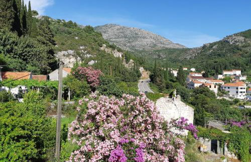 Apartments Bianki - Foto 9