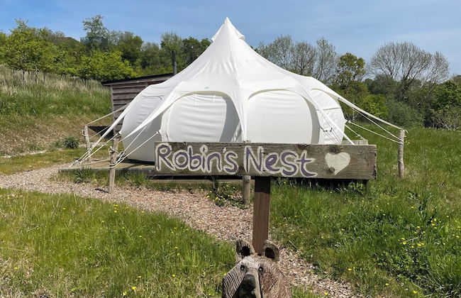 Nest and Nurture - Photo 15