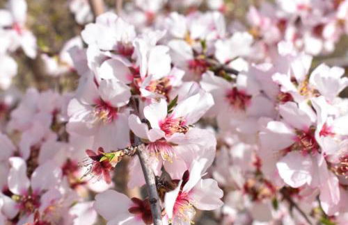 Casamarcati - Foto 16