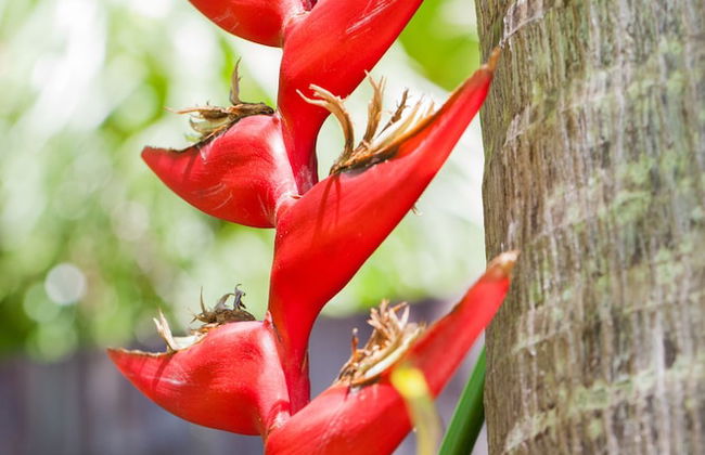 Seaforth Apartments - Foto 40