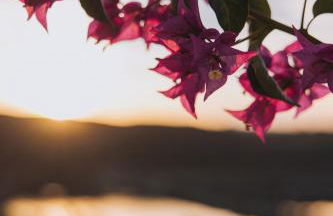 Herdade d' Amoreira Lavanda Villa - Foto 64