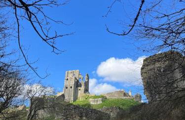 The Hollies, Dorset - Foto 30