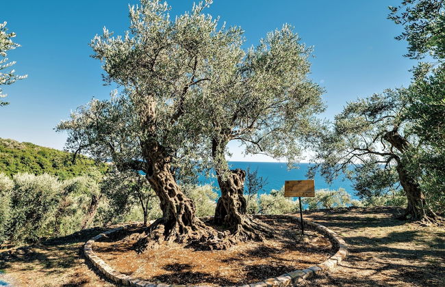 Holiday Park Tree - Foto 34