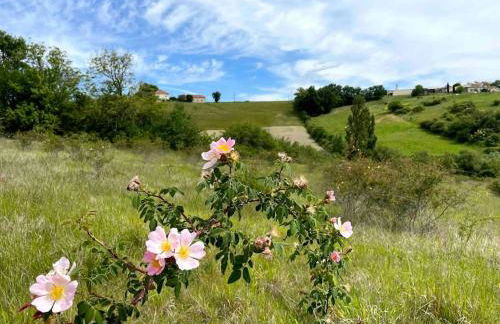 Las Vignes - Où le calm apaise l'âme - Foto 49