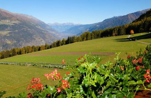 Bauernhof Mairing - Foto 26