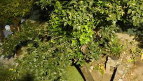 pietranera village terrasse vue exceptionnelle sur la mer - Foto 4, Garden, Garden view