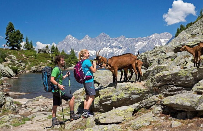 Apartment With Roof Terrace - Foto 21