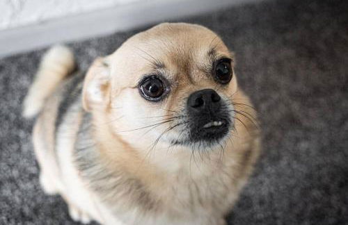 City home with parking and garden- pet friendly - Photo 27