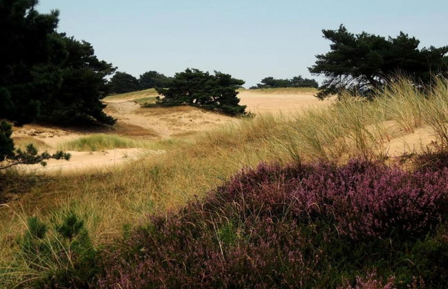 Tranquil Retreat in Appelscha - Foto 34