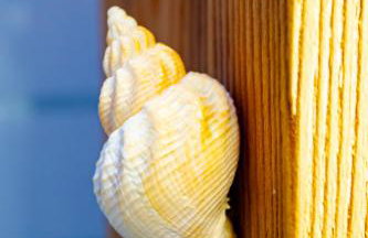 Casa Paradiso Guest House - Foto 54