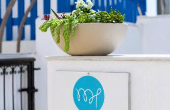 Mesogitonia House - Photo 24