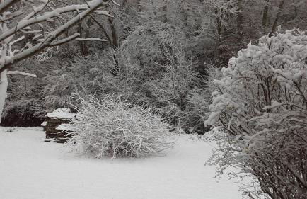 Ferienwohnung Blum - Foto 35