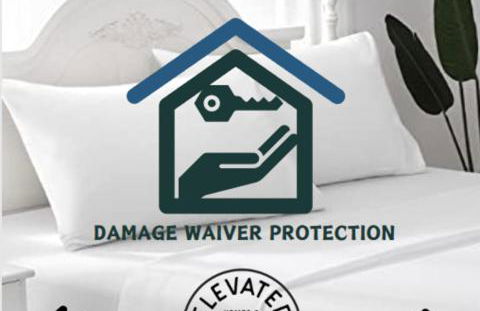 Terrapin Station- 2 Cottages on Glen Lake - Foto 49