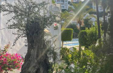 Two bedroom, two bathroom, balcony, pool area, view - Photo 42