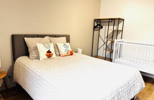 Le Terracotta cocon moderne à 2 pas de la Gare ligne directe GENÈVE-LYON-PARIS - Foto 39