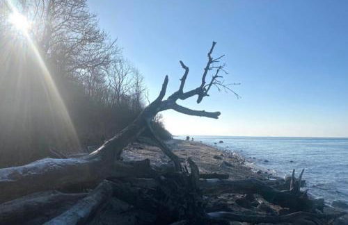 Fewo Horst_ grün. - Foto 29