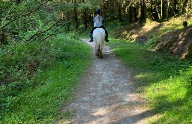 Oakies Farm Stays - Foto 31