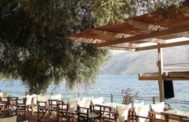 Olive Garden Studio - Foto 37