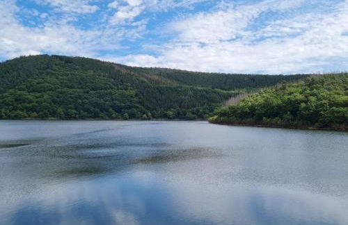 Cherry trees in blossom - Foto 34