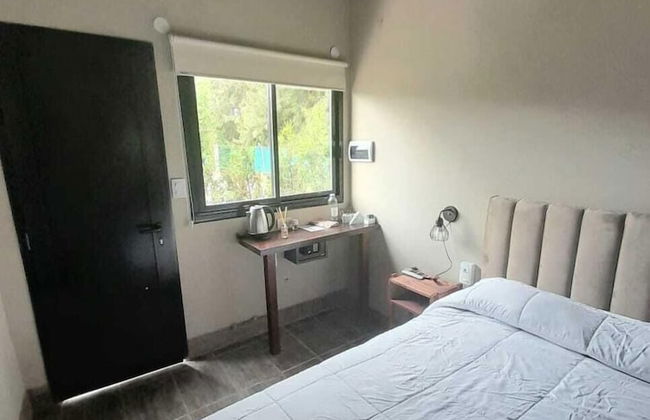 Olivos de Monte - Foto 9