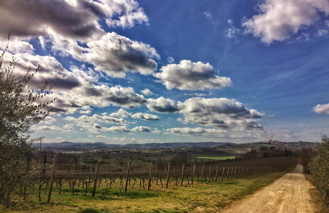 Agriturismo Fattoria Santa Vittoria - Foto 34