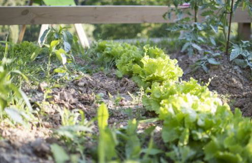 APARTAMENTOS LA COTERA - BARRIO DE ARRIBA segunda entrada 2 - Foto 58