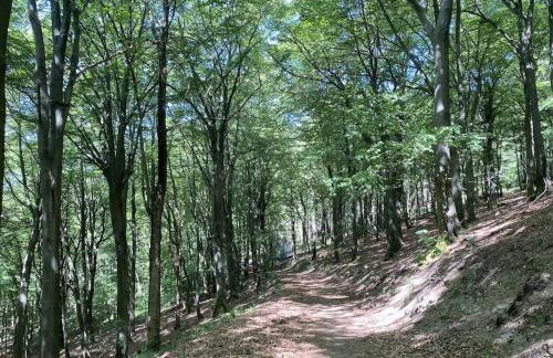 Holiday apartment with 2 bedrooms - Foto 32