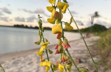 Pousada dos Sonhos - Photo 70