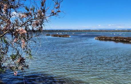 Sable & Pampas - Meublé de Tourisme 5 étoiles - Vue Panoramique & Terrasse - Climatisation - Plage à 200m - Foto 25