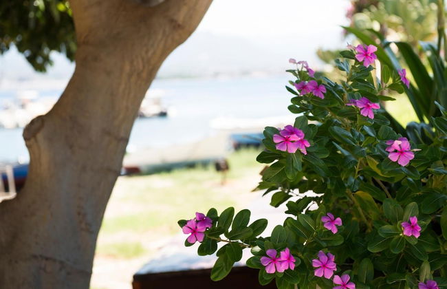 Sabrina Suite - Photo 41