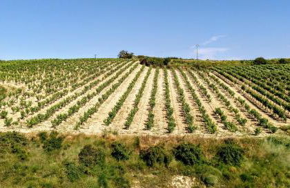 Apartamento Gaztainondoak(II)A 10min de Laguardia - Foto 19