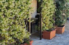 Gorgo Rinaldi - Locazioni brevi - Foto 19