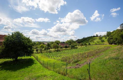 Apartmenthaus Schlag - Foto 57