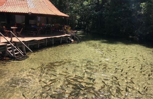 CASA PE DE PEQUI - Foto 7