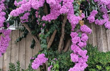 Vue magnifique sur le port appartement 80m2 piscine tennis parking climatisation - Foto 22