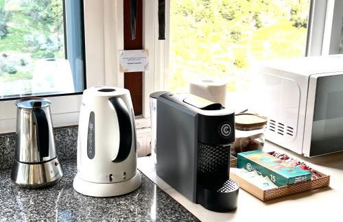 Green Valley Cruzinhas House with Fireplace & BBQ - Foto 47